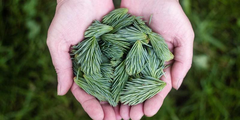 芯片算力与区块链 挖矿与交易处理能力